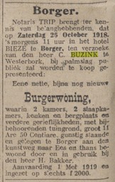 19181019-NieuwsbladVanHetNoorden Veiling burgerwoning C.Buzink